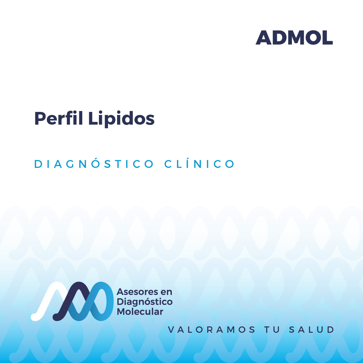 Perfil Lipidos Asesores En Diagnóstico Molecular 0724