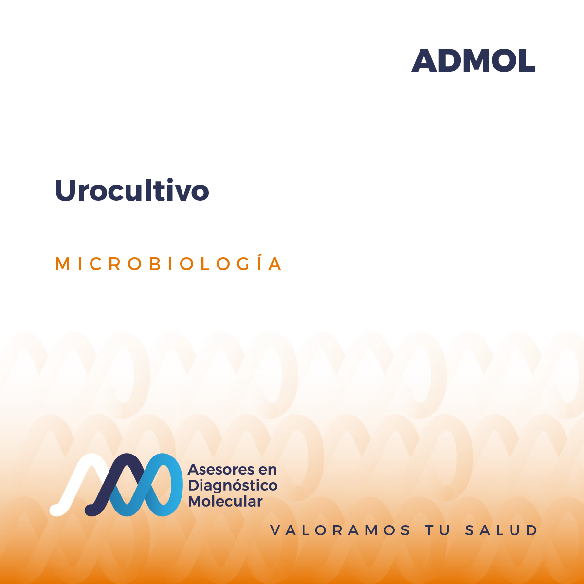 Urocultivo Asesores En Diagn Stico Molecular